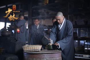 少林问道-在线观看,探寻武术奥秘，传承中华武术精神  第2张