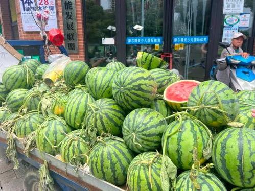 密维免费吃瓜群,揭秘娱乐圈幕后故事,畅享独家爆料盛宴 第3张 密维免费吃瓜群,揭秘娱乐圈幕后故事,畅享独家爆料盛宴 第3张